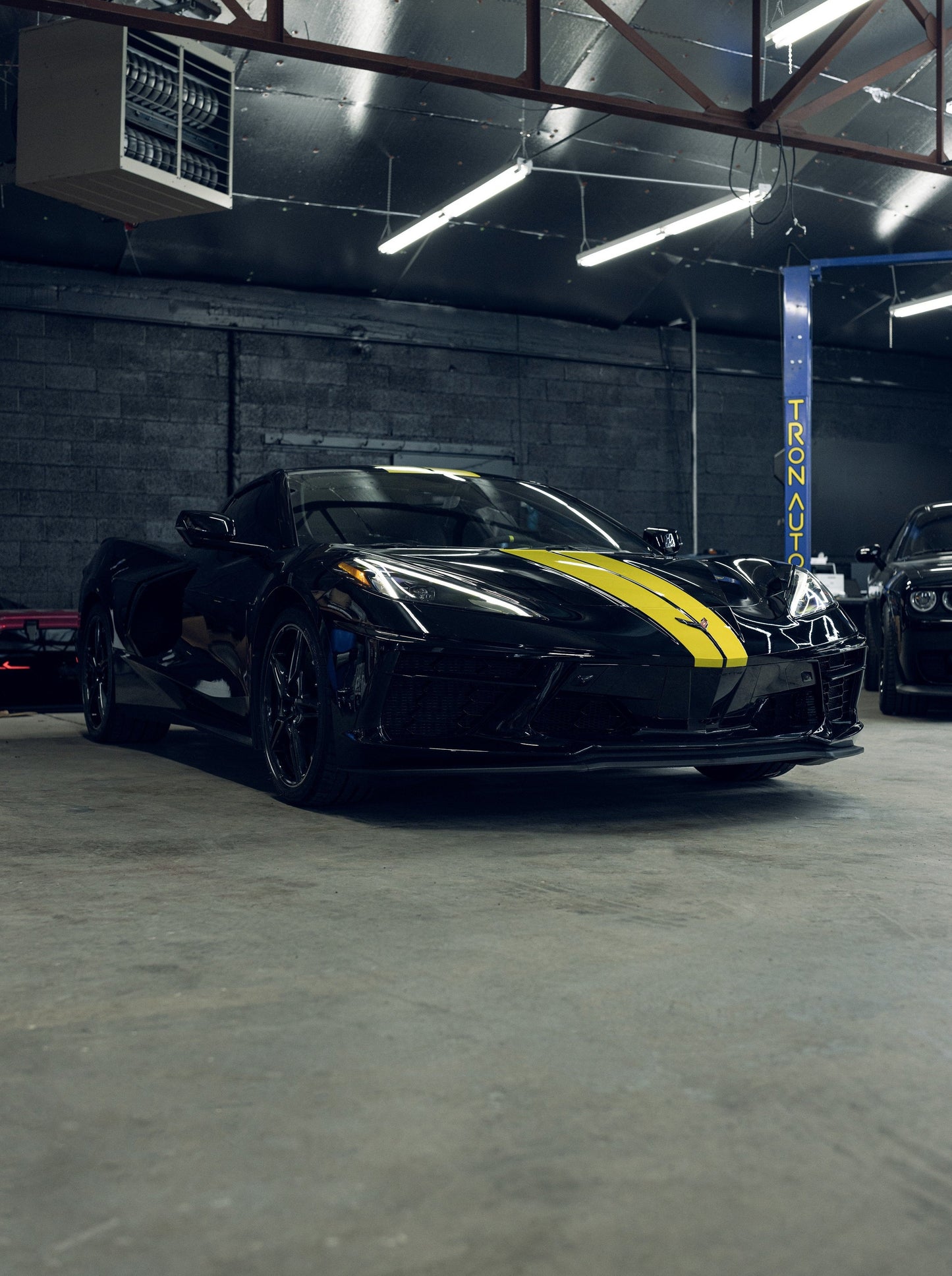 Paint Protection Film (Gloss) for Any Full Vehicle