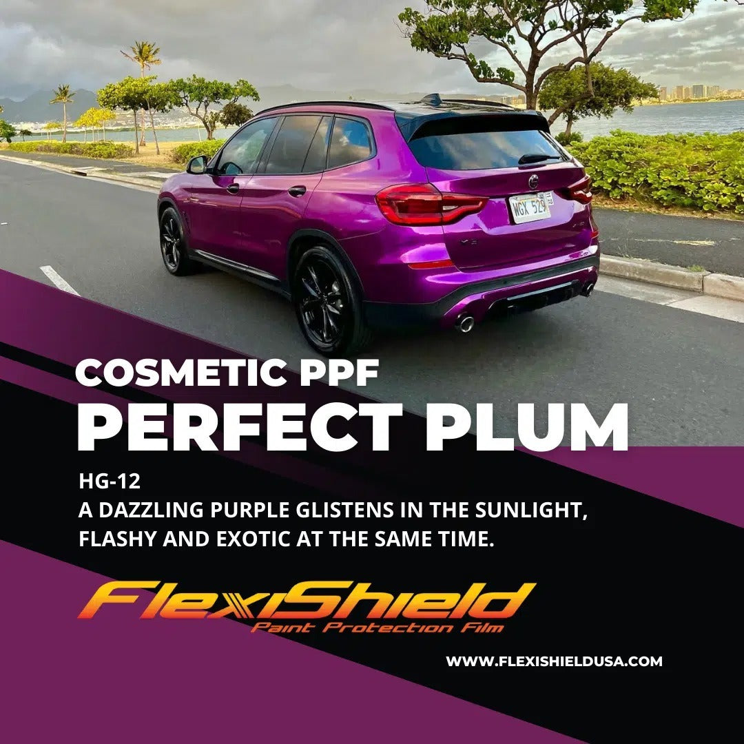 Gloss Perfect Plum Metallic by FlexiShield (HG-12)