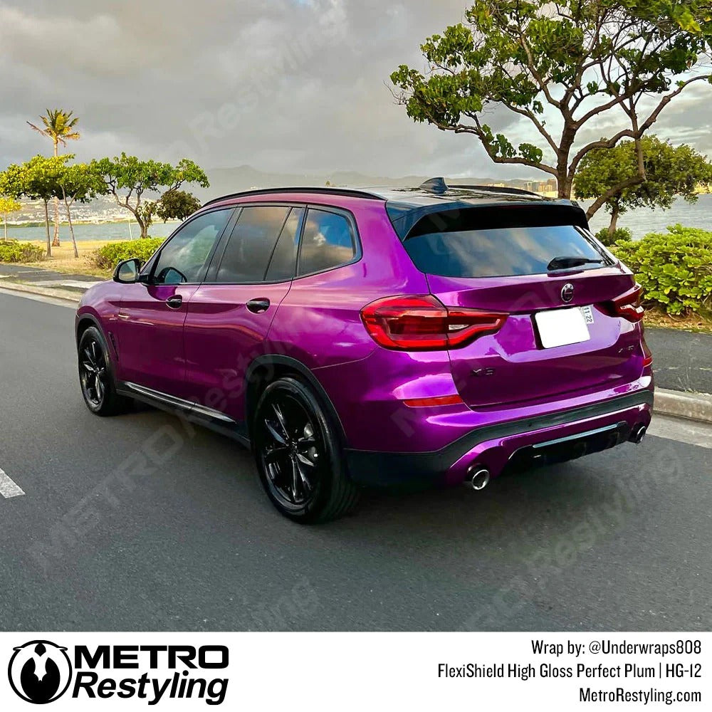 Gloss Perfect Plum Metallic by FlexiShield (HG-12)